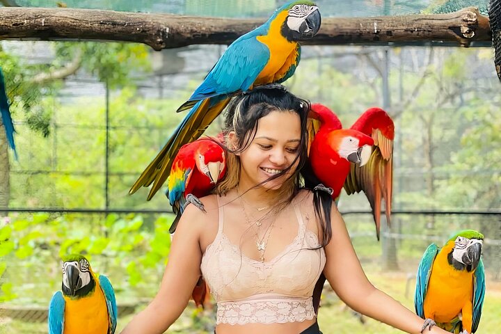 Birds Park in Hambantota