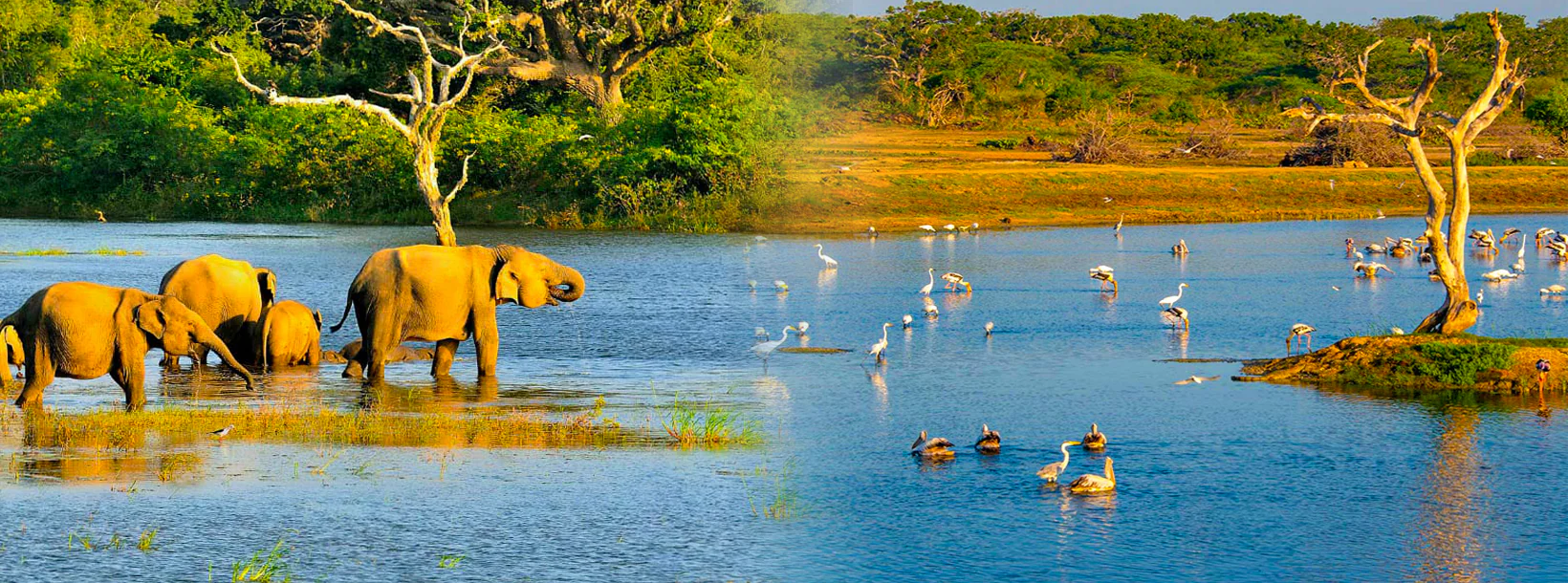 Bundala National Park